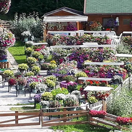 Apartment Planaiblick *