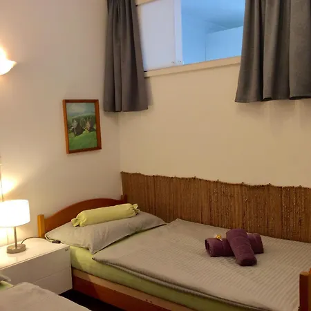 Appartement Planaiblick *