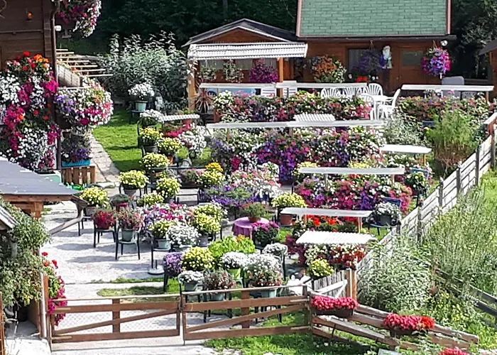 Apartment Planaiblick *